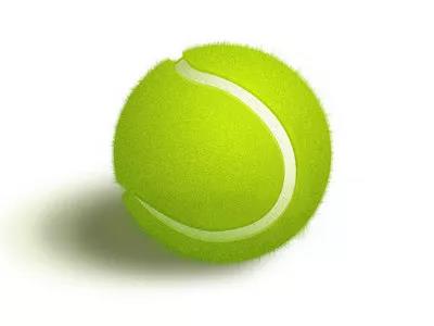 2026年国际足联世界杯