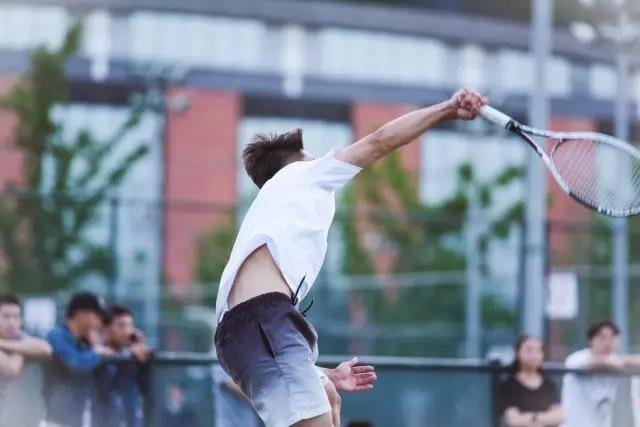 2026年国际足联世界杯