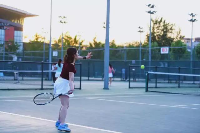 2026年国际足联世界杯