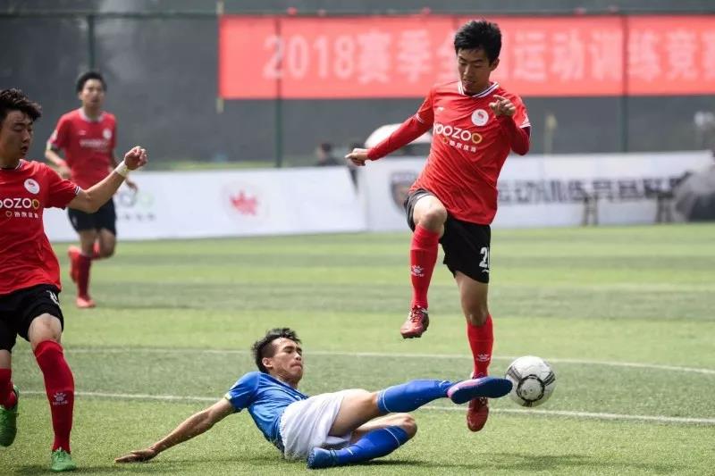 2026年国际足联世界杯