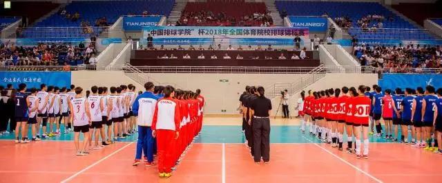 2026年国际足联世界杯