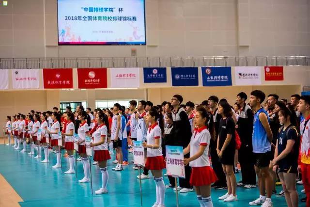 2026年国际足联世界杯