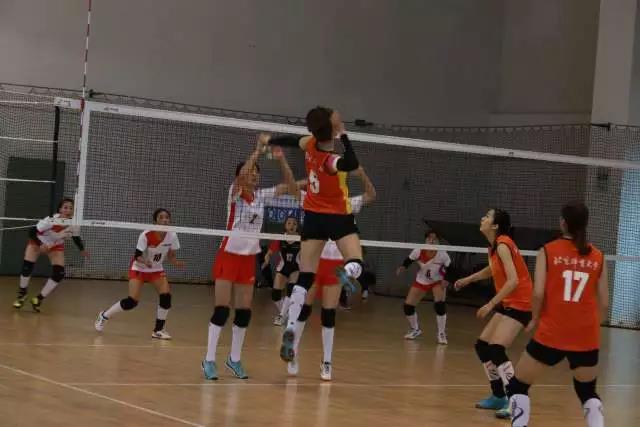 2026年国际足联世界杯