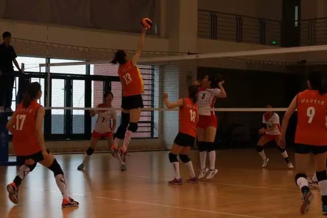 2026年国际足联世界杯