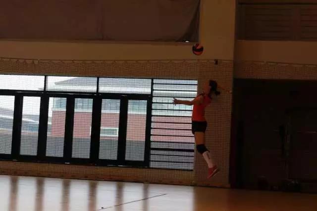 2026年国际足联世界杯