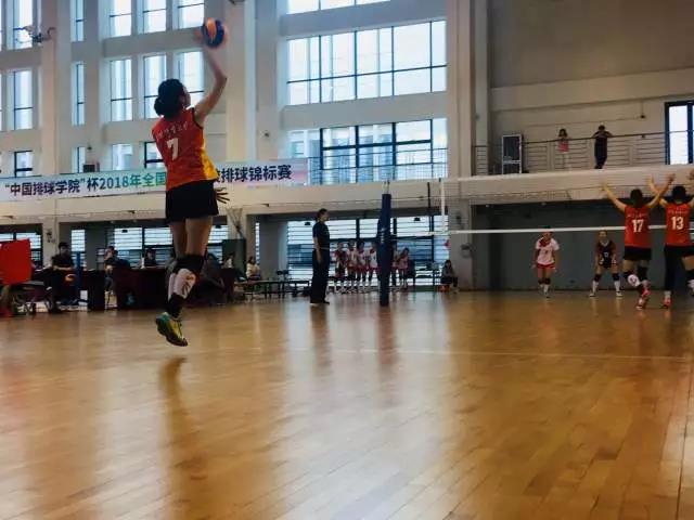 2026年国际足联世界杯