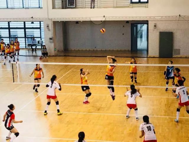 2026年国际足联世界杯