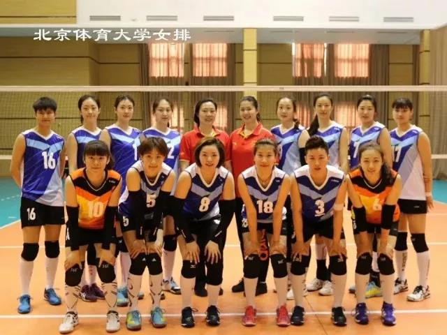 2026年国际足联世界杯