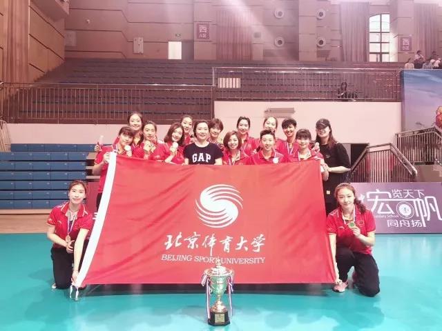 2026年国际足联世界杯