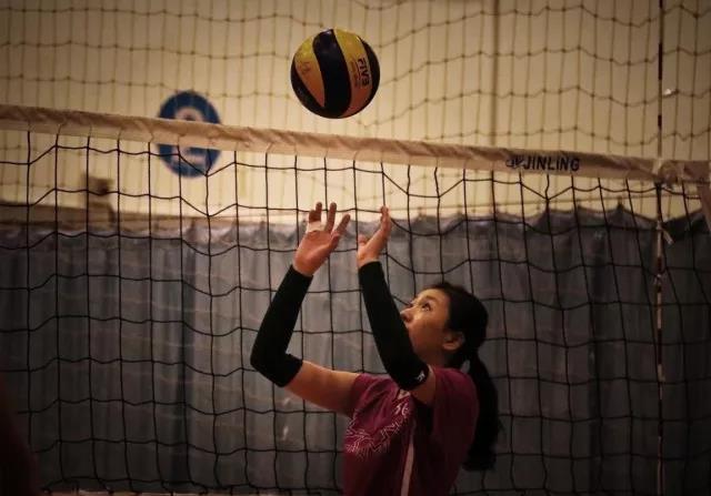 2026年国际足联世界杯