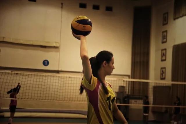 2026年国际足联世界杯