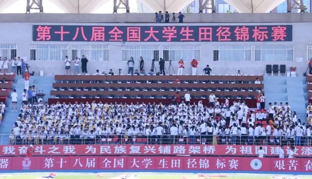 2026年国际足联世界杯