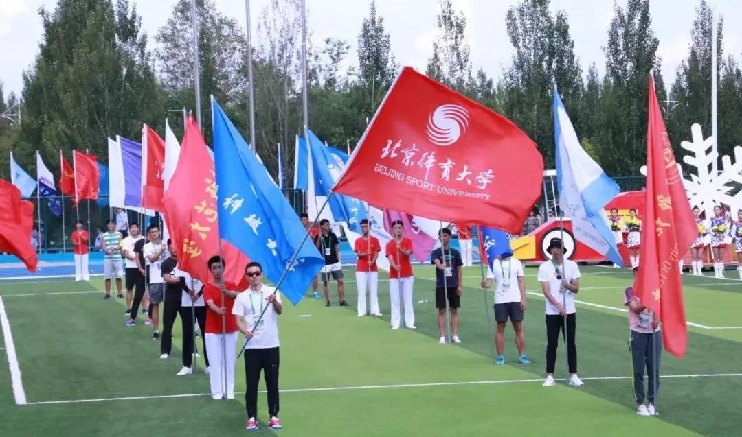 2026年国际足联世界杯