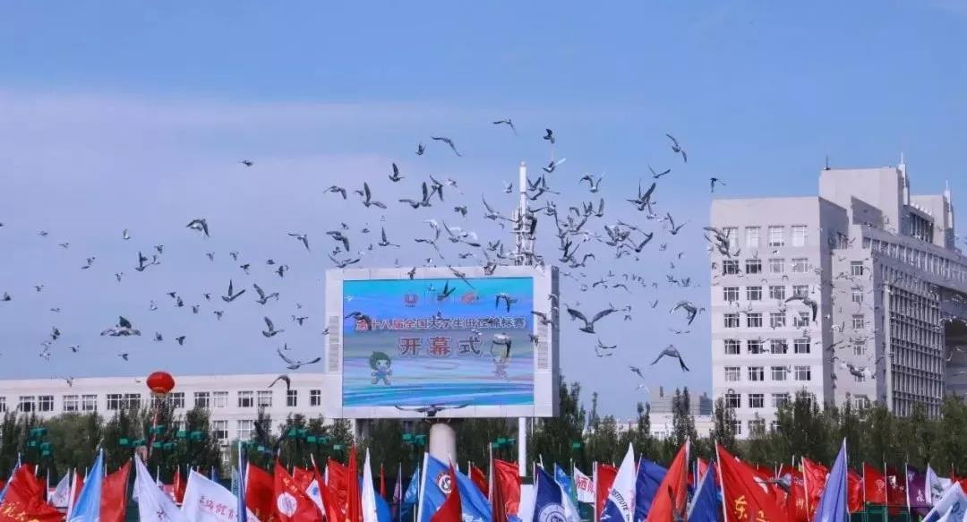 2026年国际足联世界杯