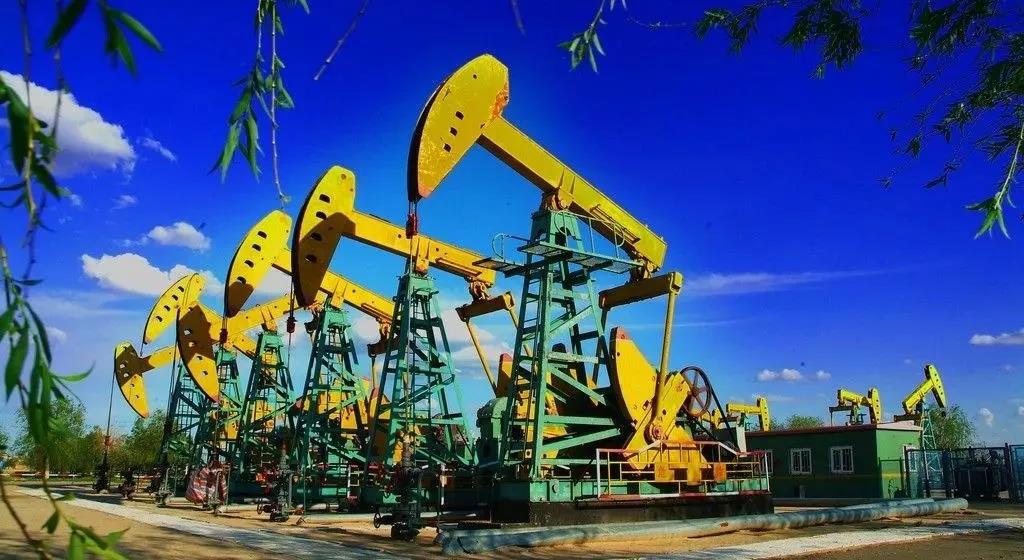 2026年国际足联世界杯