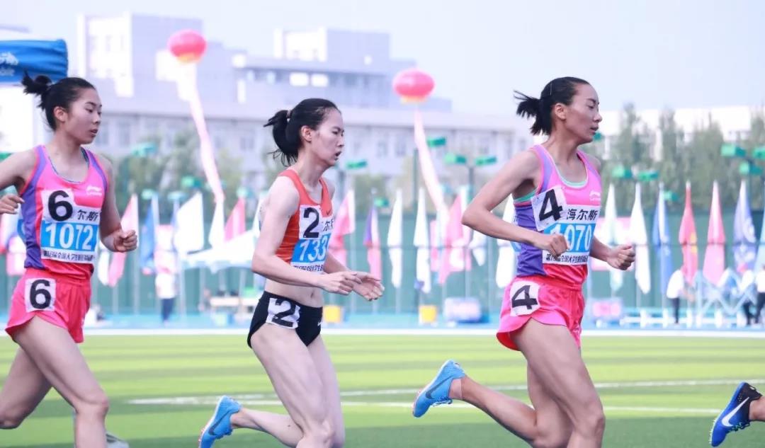 2026年国际足联世界杯