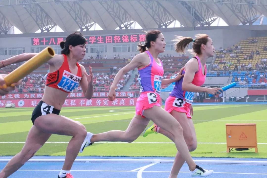 2026年国际足联世界杯