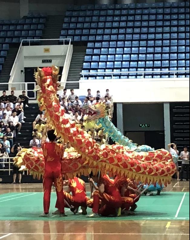 2026年国际足联世界杯