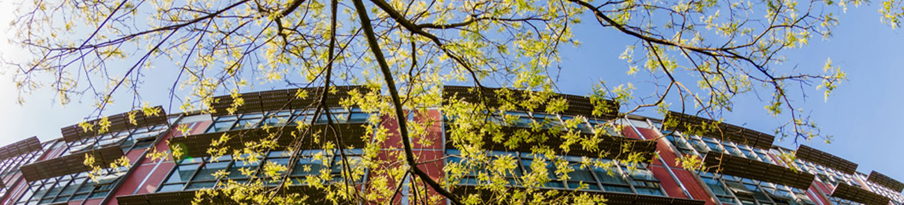 2026年国际足联世界杯